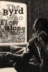 The Byrd Who Flew Alone: The Triumphs and Tragedy of Gene Clark Screenshot