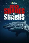 50 Shades of Sharks Screenshot