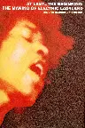 At Last...The Beginning: The Making of Electric Ladyland Screenshot