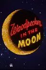 Woodpecker in the Moon Screenshot