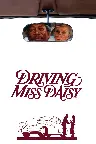 Miss Daisy und ihr Chauffeur Screenshot