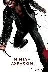 Ninja Assassin Screenshot