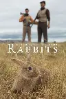 Rabbits Screenshot