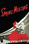 Spring Meeting Screenshot