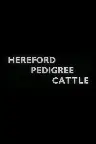 Hereford Pedigree Cattle Screenshot