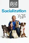 Essentials of Dog Behavior: Socialization Screenshot