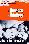 A Question of Adultery Screenshot