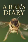 A Bee's Diary Screenshot