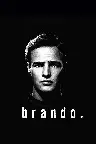 Brando Screenshot