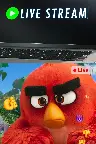 Angry Birds: Live Stream Screenshot