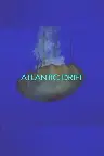Atlantic Drift Screenshot