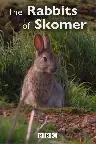 The Rabbits of Skomer Screenshot