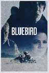 Bluebird Screenshot