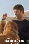 The Bachelor with Dogs and Scott Eastwood Screenshot