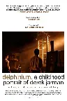 Delphinium: A Childhood Portrait of Derek Jarman Screenshot