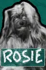 Rosie Screenshot