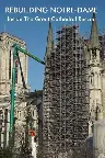 Rebuilding Notre-Dame: Inside the Great Cathedral Rescue Screenshot