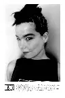 Bravo Profiles: Björk Screenshot