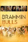 Brahmin Bulls Screenshot