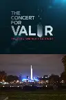 The Concert for Valor Screenshot