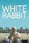 White Rabbit Screenshot