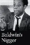 Baldwin's Nigger Screenshot