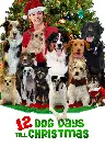 12 Dog Days Till Christmas Screenshot