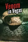 Venom In Vegas Screenshot