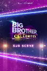 Big Brother Célébrités: Sur scène Screenshot