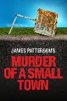 James Patterson's Murder of a Small Town Screenshot