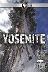 Nature: Yosemite Screenshot