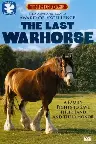 The Last Warhorse Screenshot