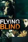 Flying Blind Screenshot