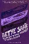 Betye Saar: Drifting Toward Twilight Screenshot