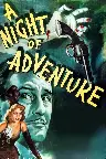 A Night of Adventure Screenshot