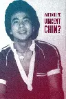Who Killed Vincent Chin? Screenshot