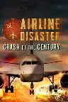 Airline Disaster: Crash of the Century Screenshot