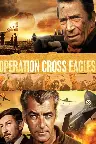 Operation Cross Eagles Screenshot
