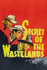Secret of the Wastelands Screenshot