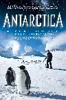 Antarctica: A Year On Ice Screenshot