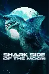 Shark Side of the Moon Screenshot
