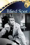 Blind Spot Screenshot
