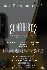 Songbirds Screenshot