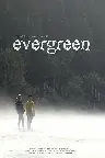 Evergreen Screenshot