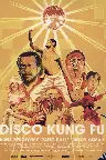 Disco Kung Fu Screenshot