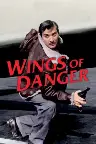 Wings of Danger Screenshot
