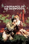 A Romance of the Redwoods Screenshot