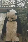 Von Friesen und Pandabären Screenshot
