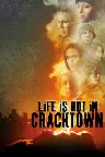 Life Is Hot in Cracktown Screenshot