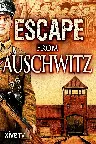 Escape from Auschwitz Screenshot